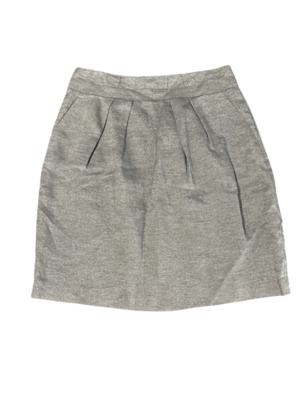 Talbots Silver A-Line Skirt Size 8